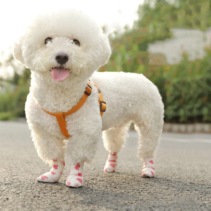 Cohesive Bandage for Pet